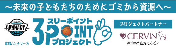 3p_project